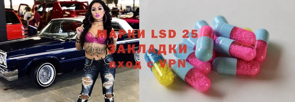 гашик Вязники