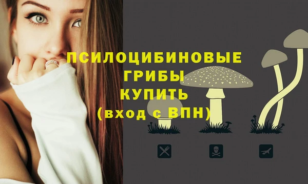 гашик Вязники