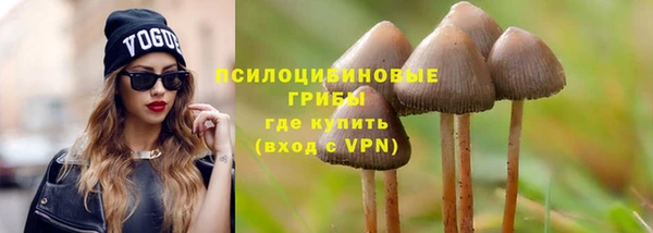ALPHA-PVP Вяземский