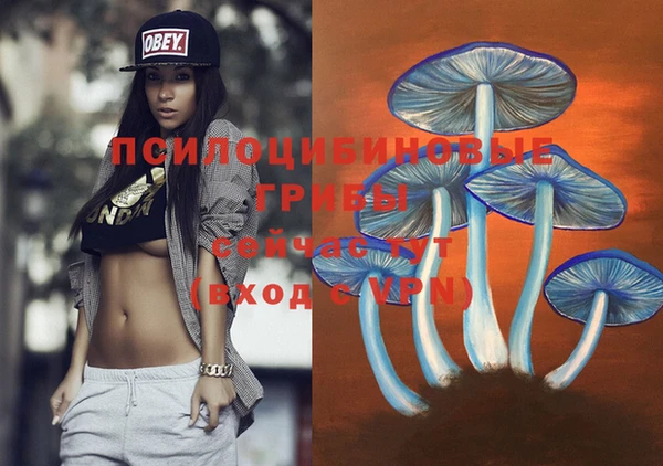 ALPHA-PVP Вяземский