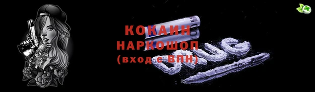 гашик Вязники