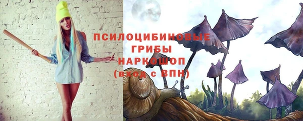 трава Вязьма