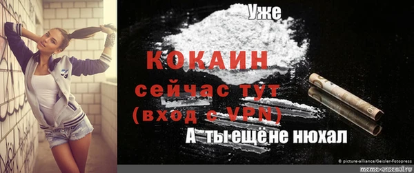 гашик Вязники
