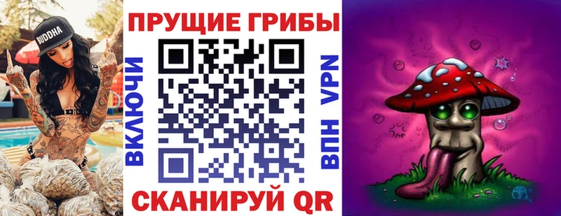 Галлюциногенные грибы мицелий  Купить где  Котельнич 