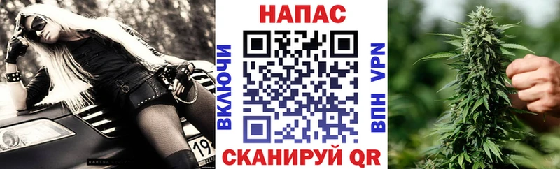 МАРИХУАНА семена  Купить где  Котельнич 